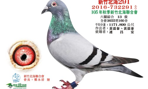 依达拉奉右莰醇使用说明书-依达拉奉国外说明书网 - 网站提供依达拉奉进口药小常识、依达拉奉cas