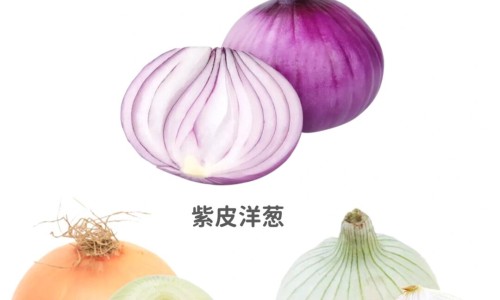 依达拉奉30mg的价格进口-依达拉奉国外说明书网 - 网站提供依达拉奉进口药小常识、依达拉奉cas