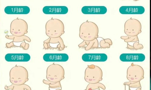 依达拉奉进口的叫啥名字-依达拉奉国外说明书网 - 网站提供依达拉奉进口药小常识、依达拉奉cas